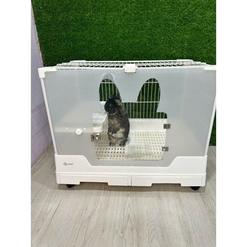 Jual KANDANG PREMIUM KELINCI DAYANG R81/kandang kelinci premium/rabbit ...