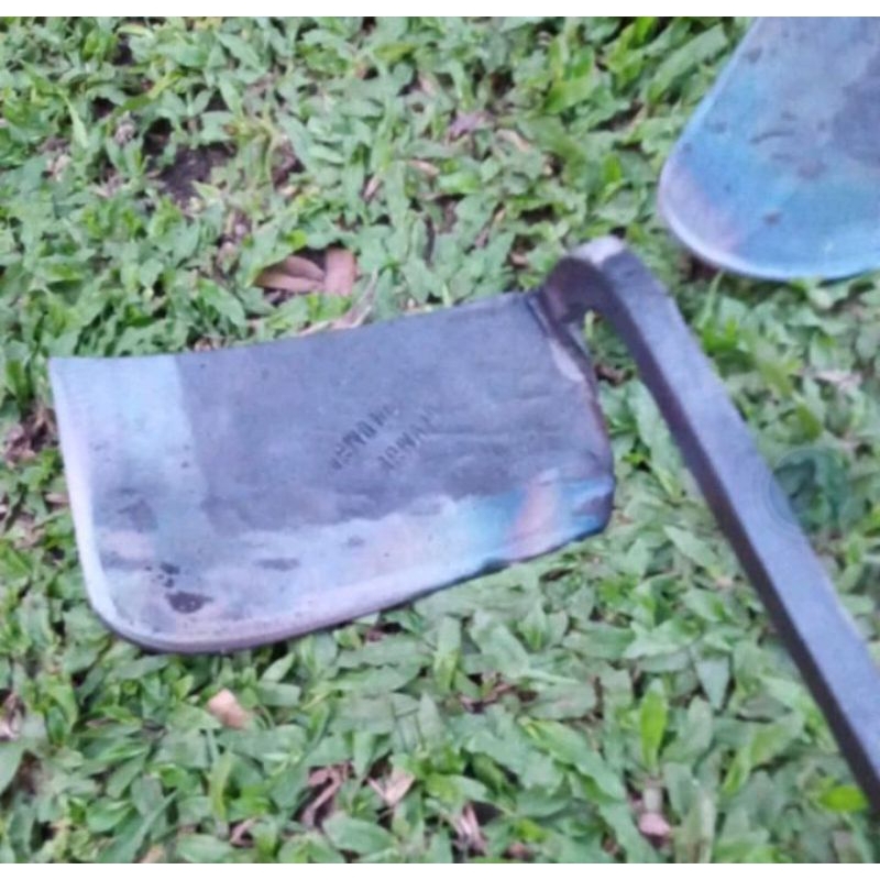 Jual tengkuit rumput | Shopee Indonesia
