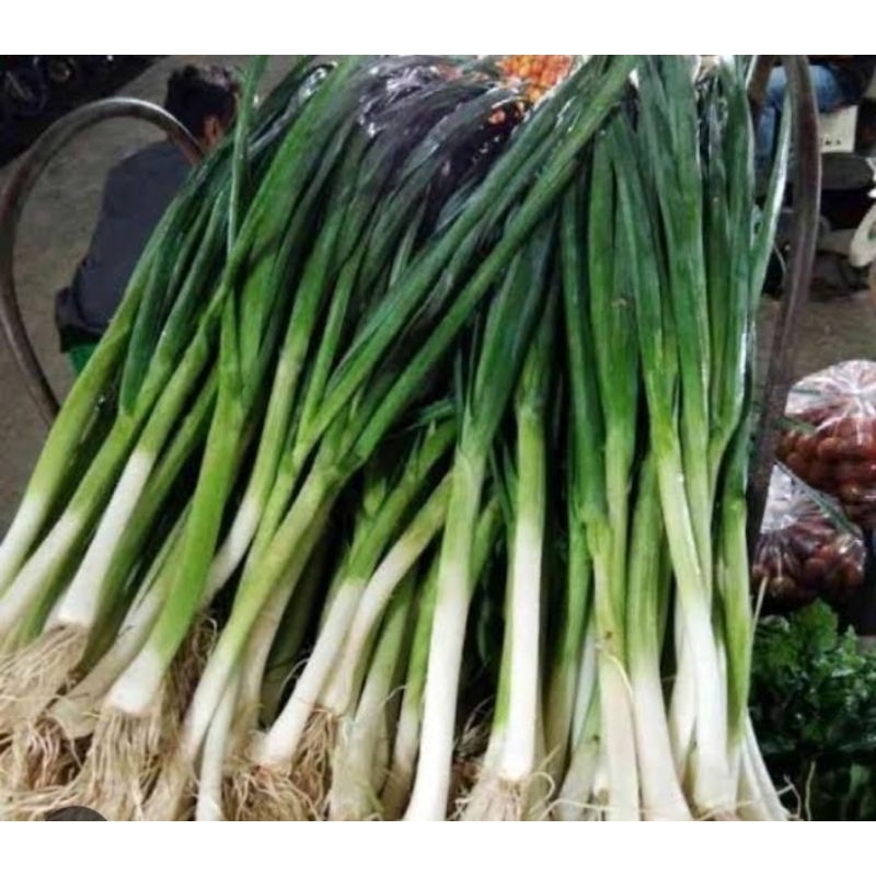 Jual Bawang Prei Terlengkap & Harga Terbaru Mei 2026 | Shopee Indonesia