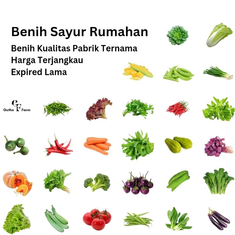Aneka Macam Benih Sayur Rumahan