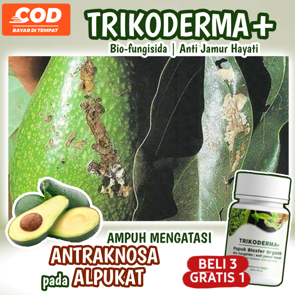 Jual Booster Cabai POC Trichoderma ZPT - Pupuk Alami Tahan Jamur ...