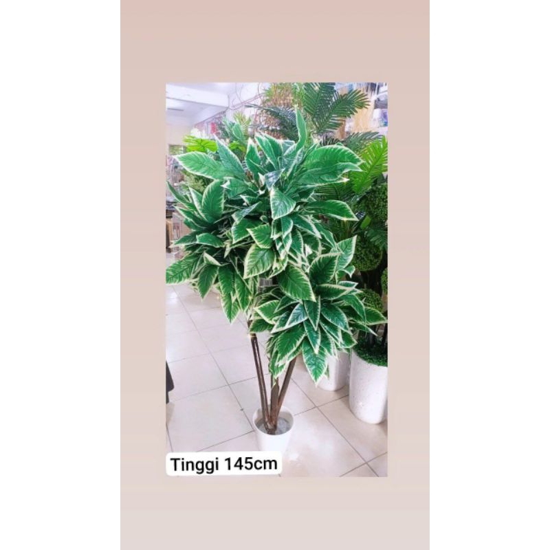 Jual BUNGA SUDUT POHON MANGGA | Shopee Indonesia