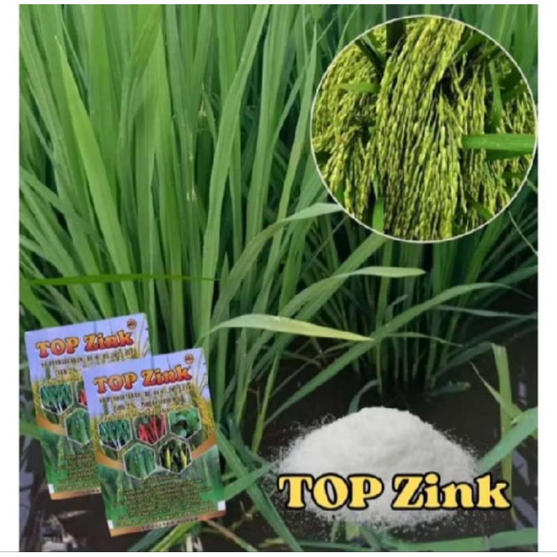 Jual TOP ZINK 5PCS PER SACHET KEMASAN PABRIK ORIGINAL | Shopee Indonesia
