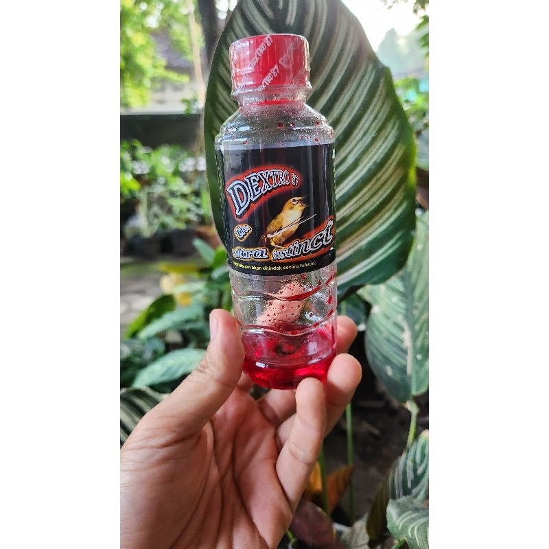 Jual DEXTR0 87 BOTOL BARU TUTUP MERAH GARANSI ORIGINAL | Shopee Indonesia