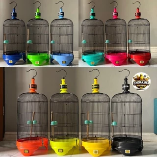 Yalangoch qizning orta kattalikdagi kokraklari Rus pornosini tomosha qiling: Kuyov qaynonasini sikadi