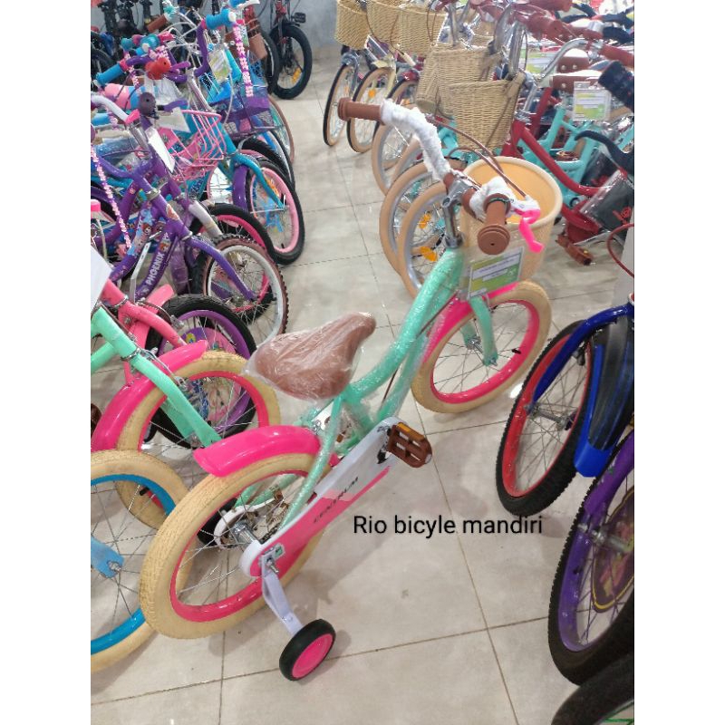 Jual SEPEDA BARU MODEL KERANJANG,MREK CEMTRUM (HIJAU LIST PINK ...