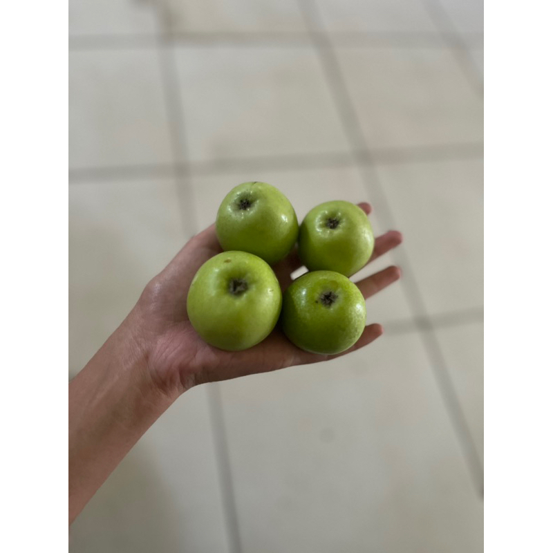 Jual Apel Manalagi Batu Malang Cherry Mini 1kg Isi 24-30 Buah / Rasa ...