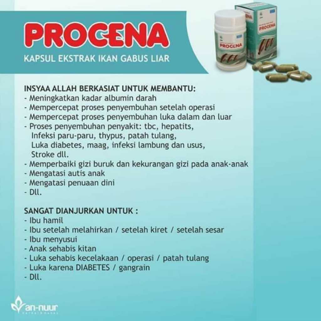 Jual PROCENA EKSTRAK IKAN GABUS 60 KAPSUL / ikan kutuk | Shopee Indonesia