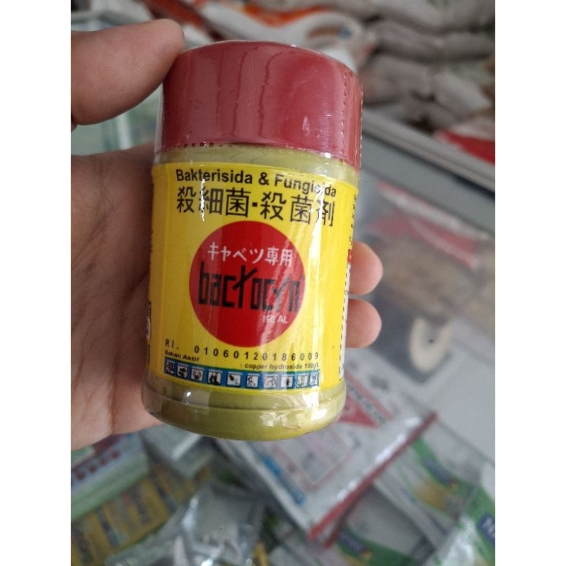 Jual FUNGISIDA/BAKTERISIDA BACTOCYN - 100ML | Shopee Indonesia