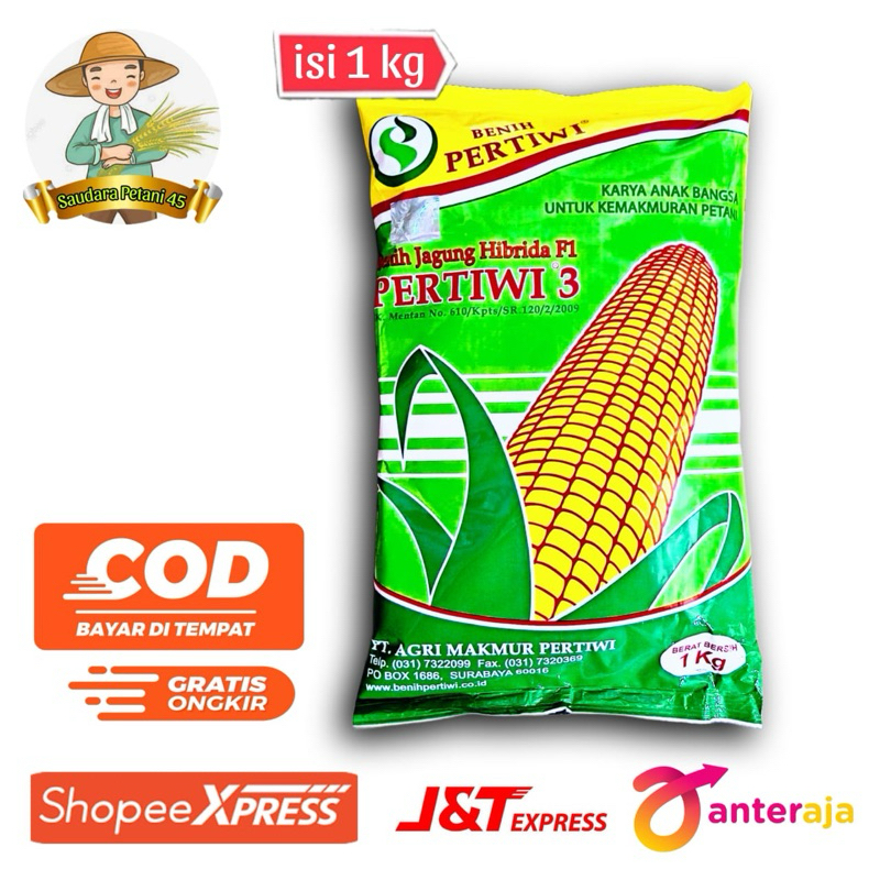 Jual Bibit Benih Hibrida f1 jagung Pertiwi 3 original Kemasan 1 kg ...