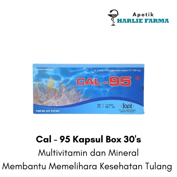 Jual Cal-95 Tablet Strip Box - Suplemen Kalsium Tulang | Shopee Indonesia