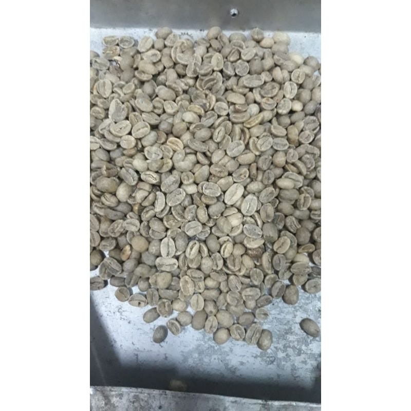 Jual KOPI GREEN BEAN ARABICA ASALAN 1KG Grade AB | Shopee Indonesia
