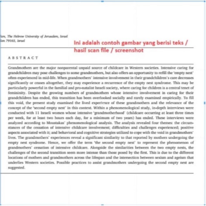 Jual Konversi gambar ke teks / image to teks converter / Menampilkan ...