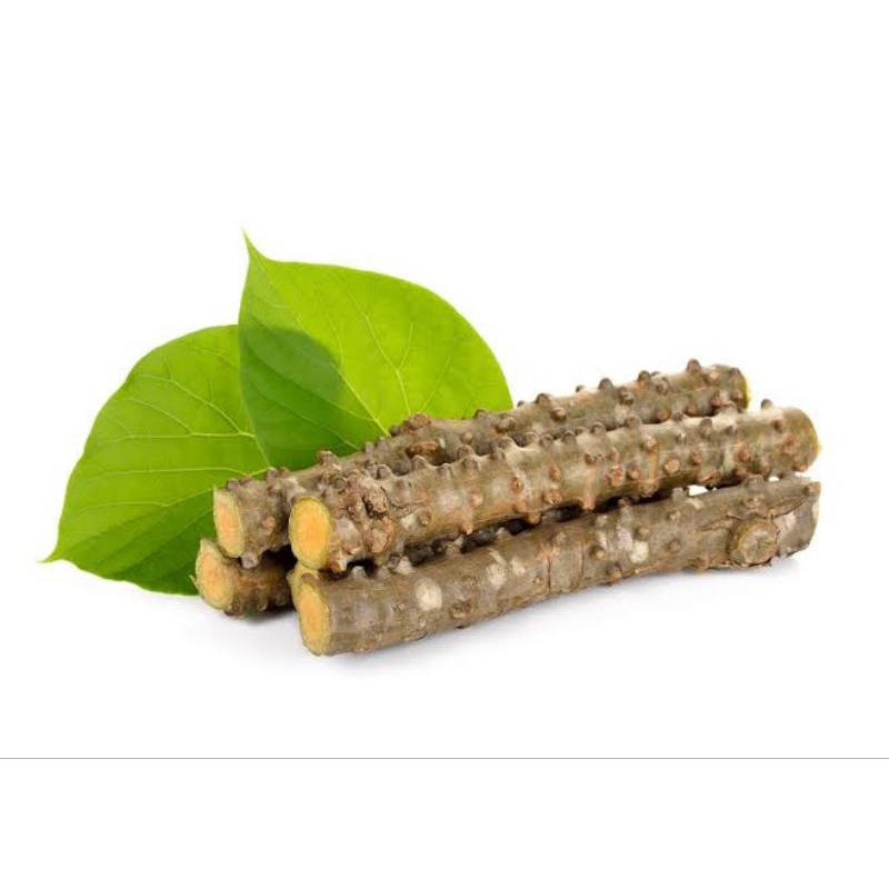 Jual BROTOWALI/BATRAWALI ASLI PAHIT SEGAR UNTUK SAPIH ANAK 100 GR ...