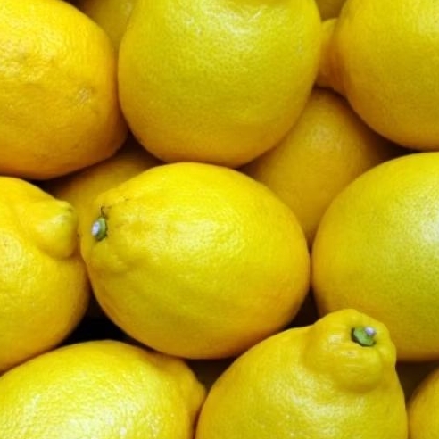 Jual Lemon RRC | Mohon tanya stock sebelum membeli | Lemon Samarinda ...