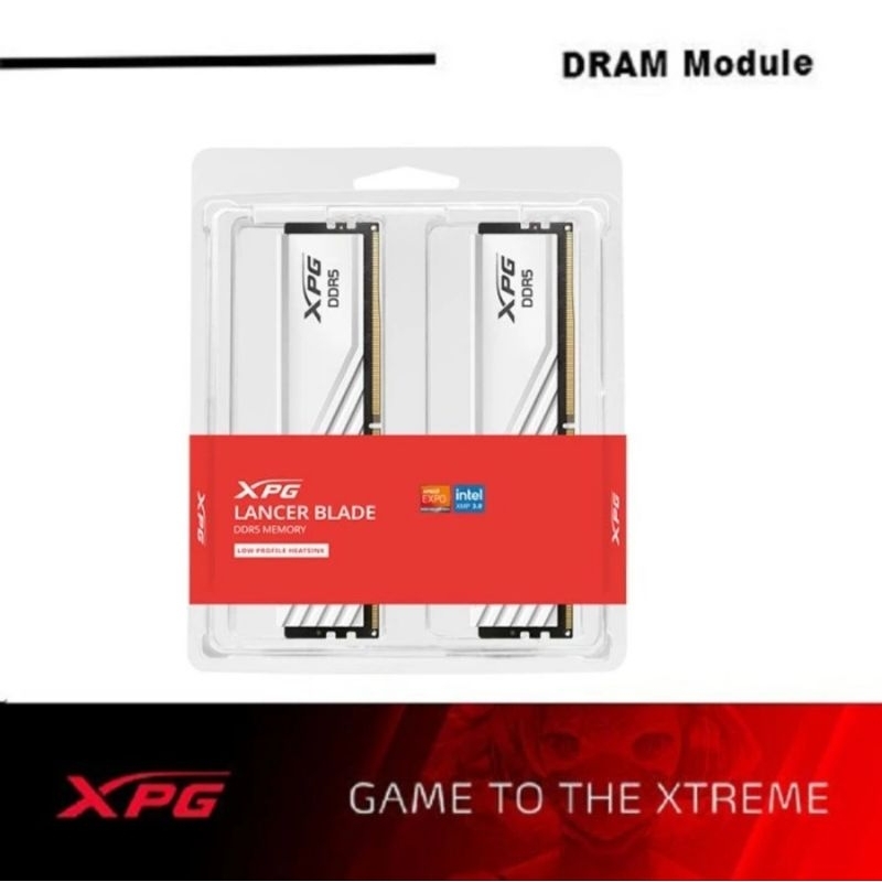 Jual XPG 32GB Lancer Blade Non RGB DDR5 (2x16GB) PC48000 5600MHz Dual ...