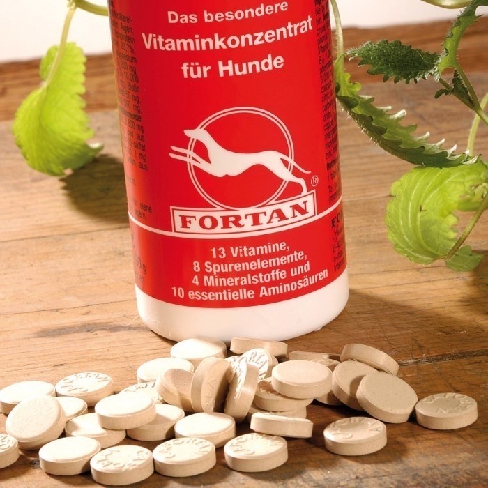 Jual Vitamin Anjing Cafortan 90gr | Shopee Indonesia