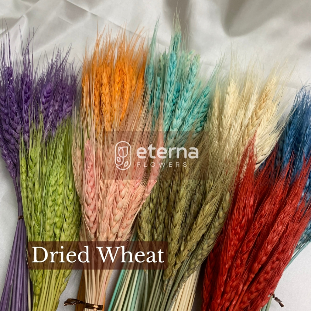Jual Dried Wheat Flower Gandum / Bunga Kering / Hiasan Mahar Seserahan ...