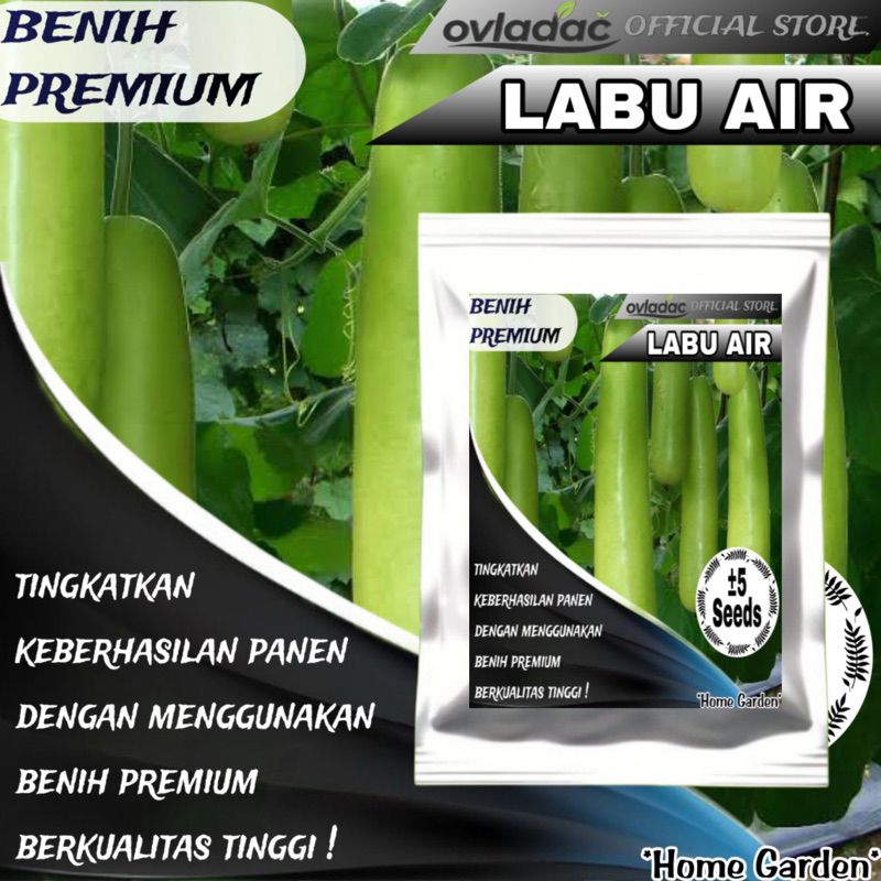 Jual BIBIT BENIH LABU AIR ±5 BIJI / HOME GARDEN SEEDS | Shopee Indonesia