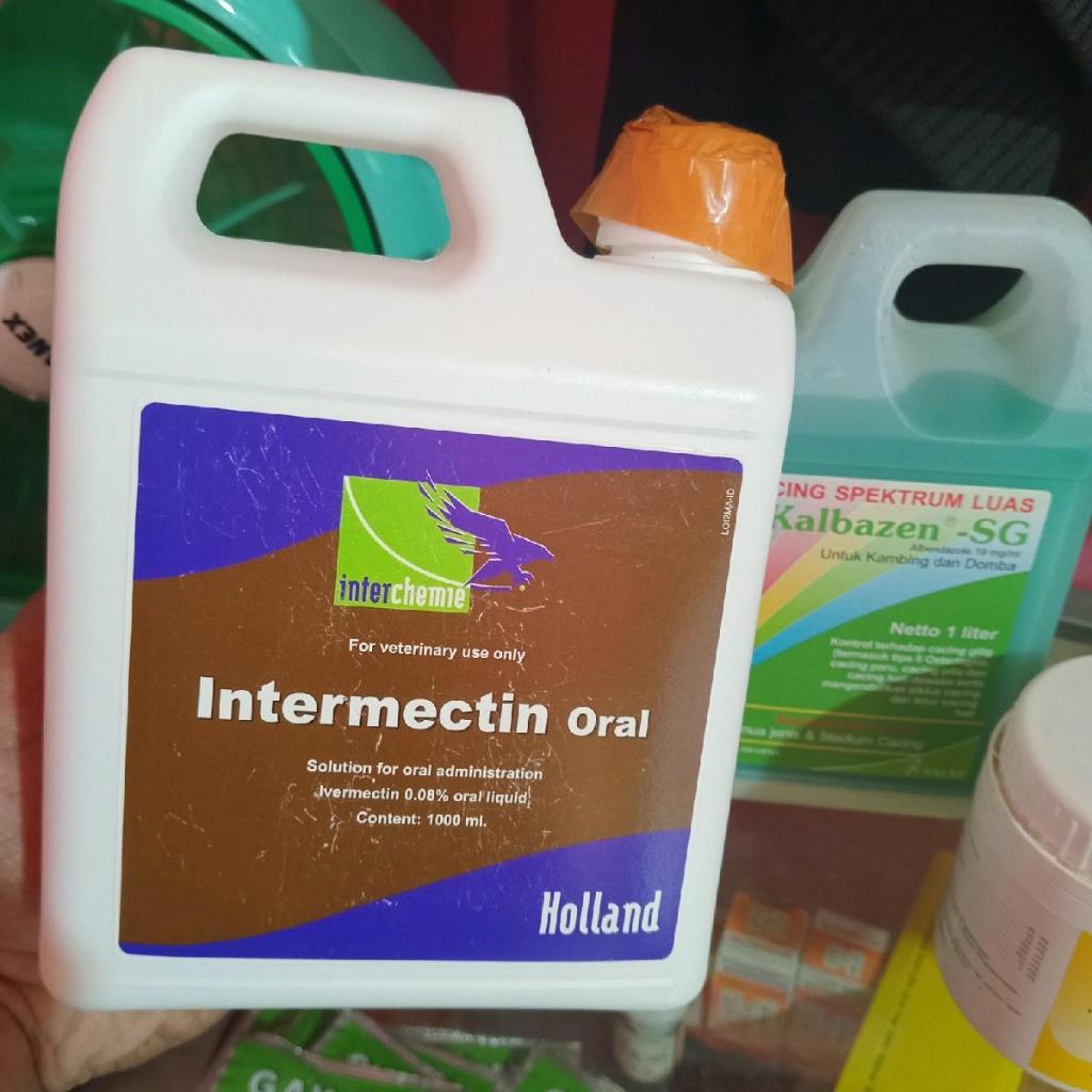 Jual Intermectin Oral 1 Liter Obat Cacing & Scabies Ternak Sapi ...