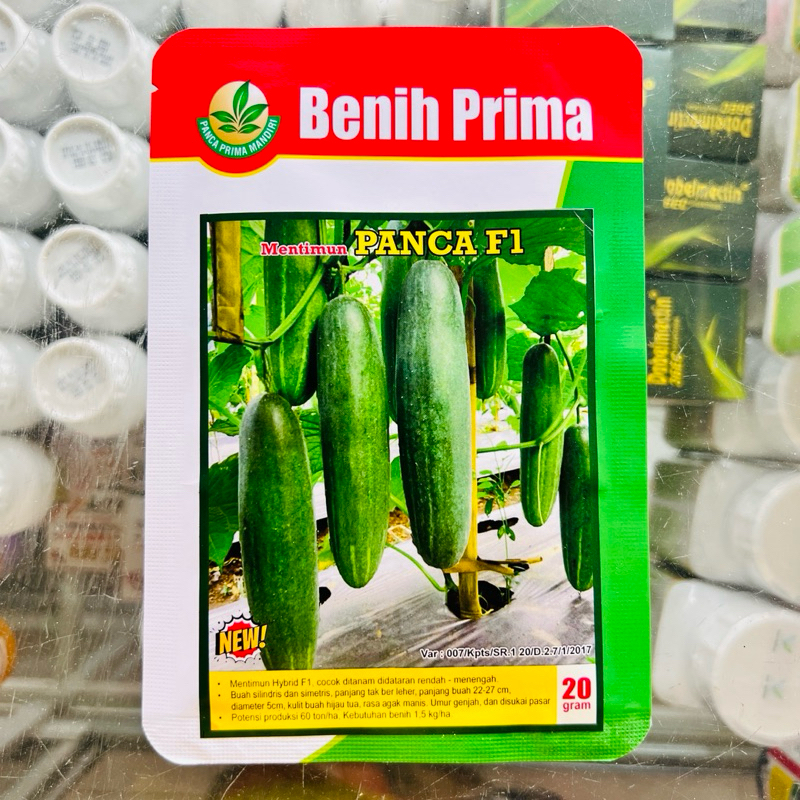 Jual Benih Timun Panca F1 Benih Prima 20 Gram | Shopee Indonesia
