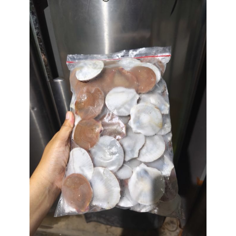 Jual kerang simping merah putih 1kg | Shopee Indonesia