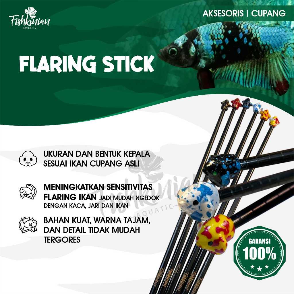 Jual Fishkinian | Flaring Stick Ikan Cupang Betta - Untuk Flaring ...