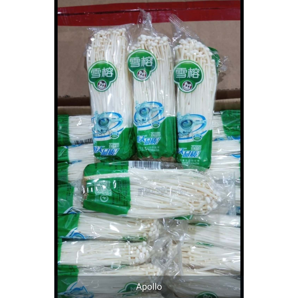 Jual JAMUR ENOKI MUSHROOM IMPORT 100 GRAM APOLLO HIJAU ASTRONOT ...