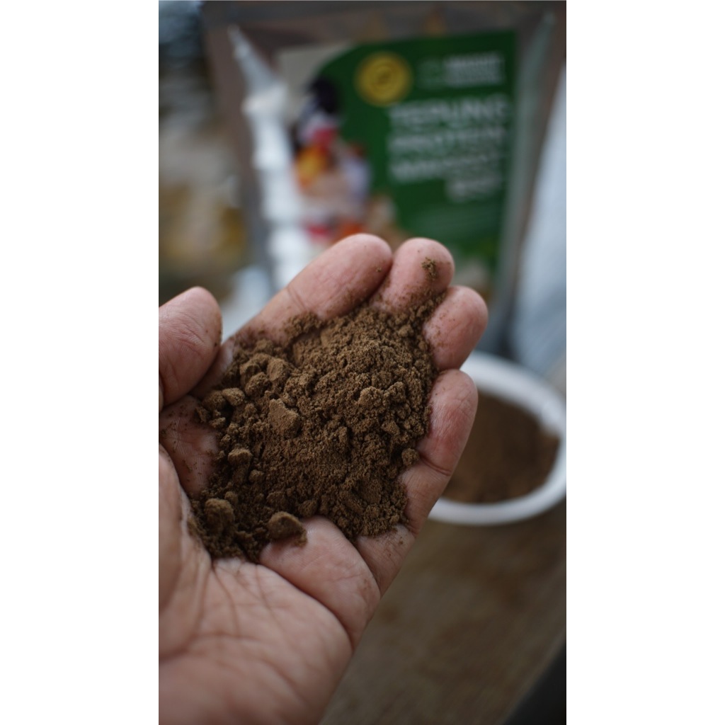 Jual 500 GR - Maggot Powder Premium - Tepung Protein Hewan Maggot BSF ...
