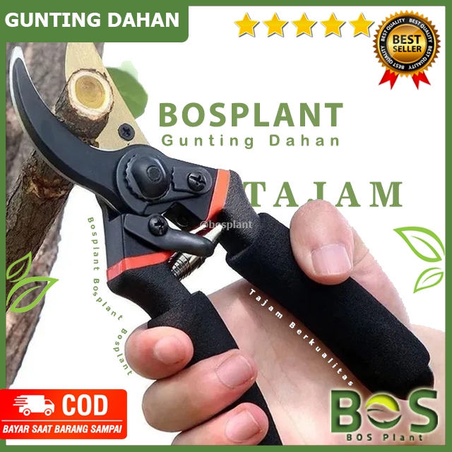 Jual Bosplant - Gunting Ranting Bunga Tanaman Dahan 35mm Branches Are ...