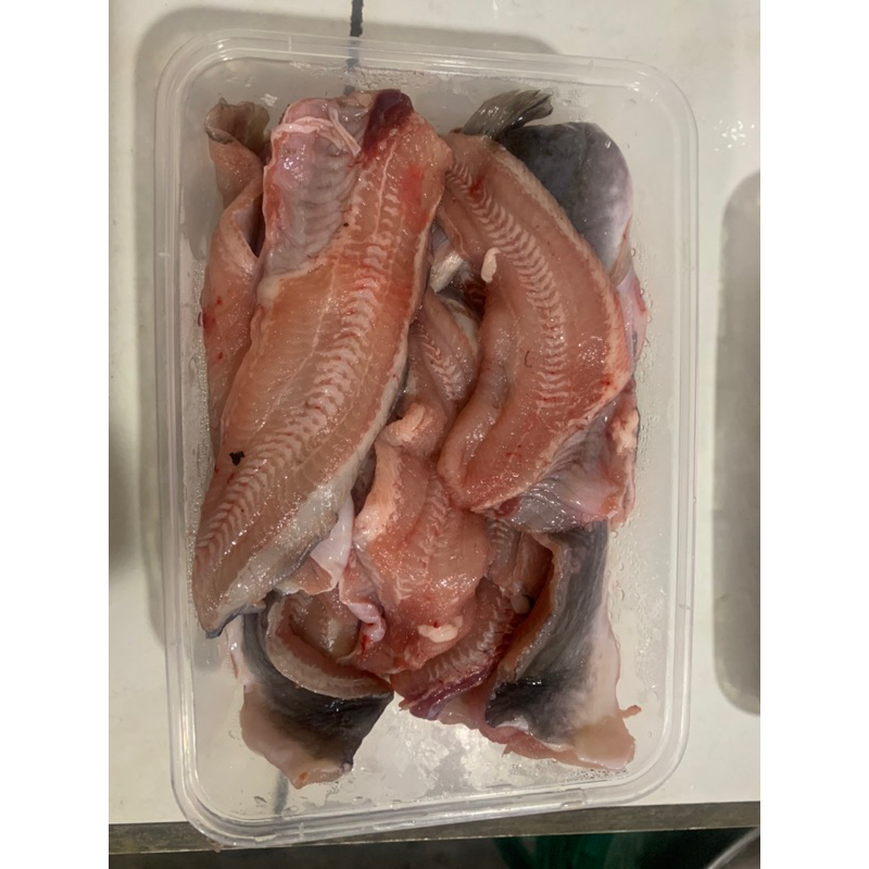 Jual Ikan Lele Fillet 500g FRESH | Shopee Indonesia
