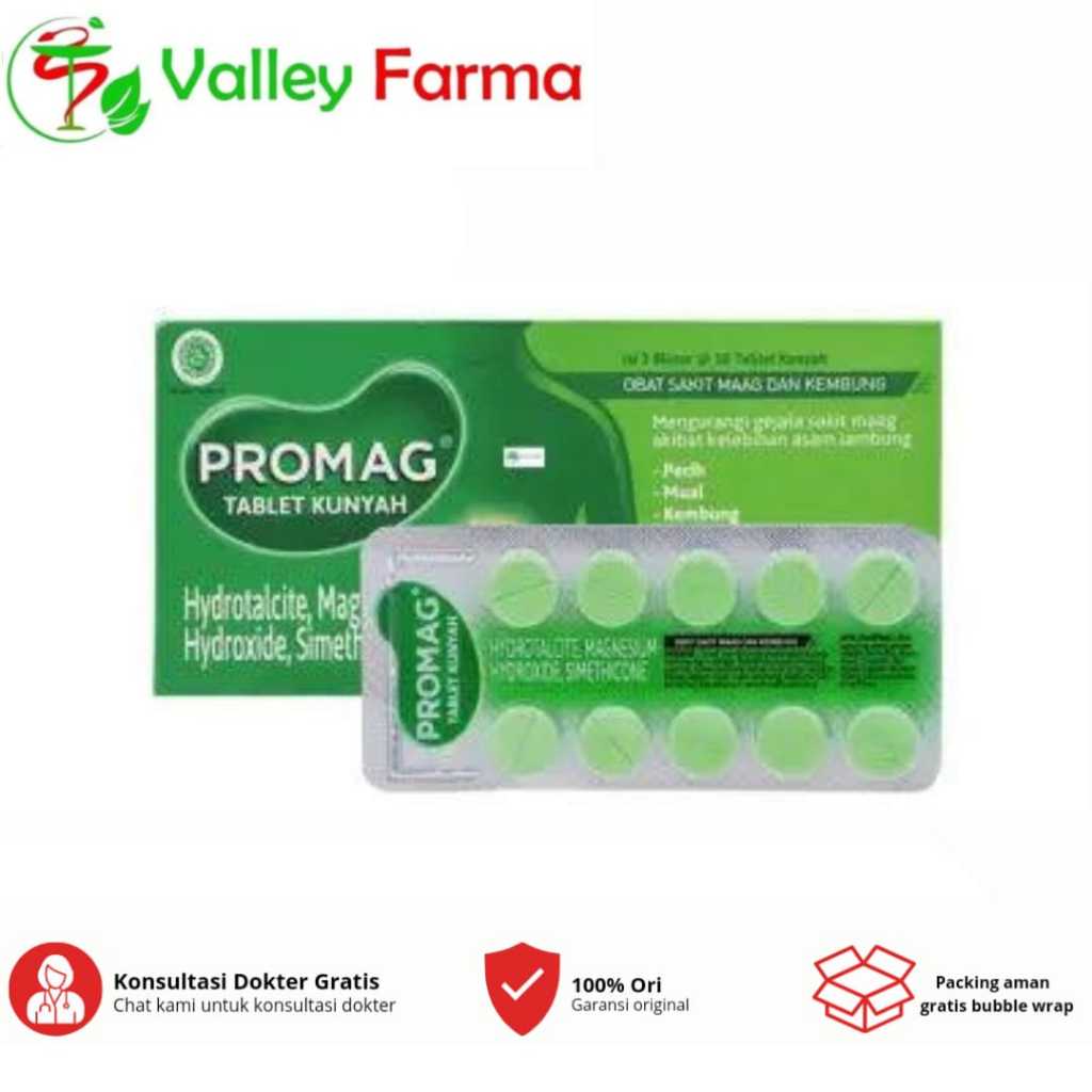 Jual Promag 1 Strip Isi 10 Tablet/ Maag/ Asam Lambung | Shopee Indonesia