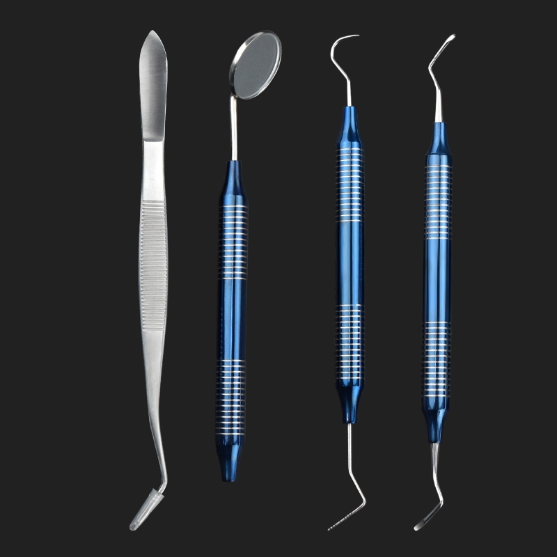 Jual 4 pcs/set Dental Instrument Tartar Scraper Scaler Calculus Plaque ...