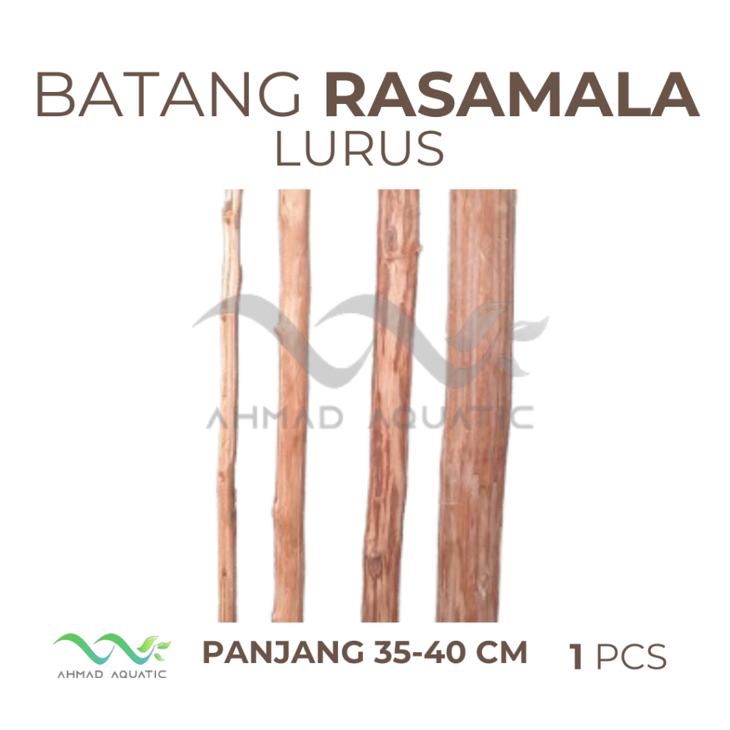 Jual Batang Lurus Rasamala untuk tema Jungle Aquarium Aquascape ...