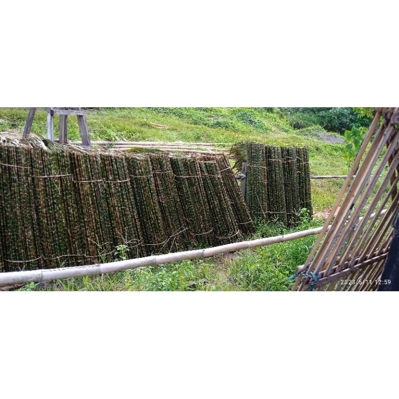 Jual atap dahon daun rumbia 10 pcs | Shopee Indonesia