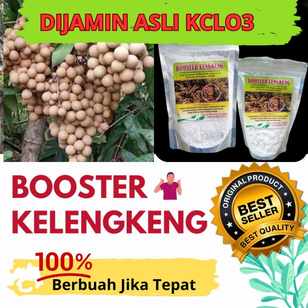 Jual Booster kelengkeng cepat berbuah, Booster kelengkeng kclo3 murni ...