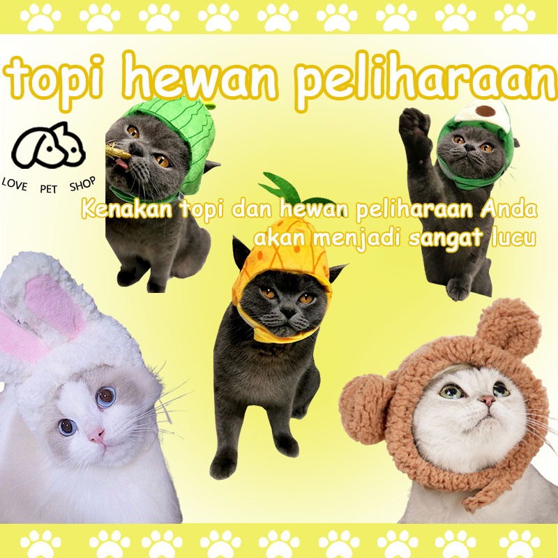 Jual Topi Pet Topi Anjing dan Kucing Topi Lucu Kucing Peliharaan Murah ...
