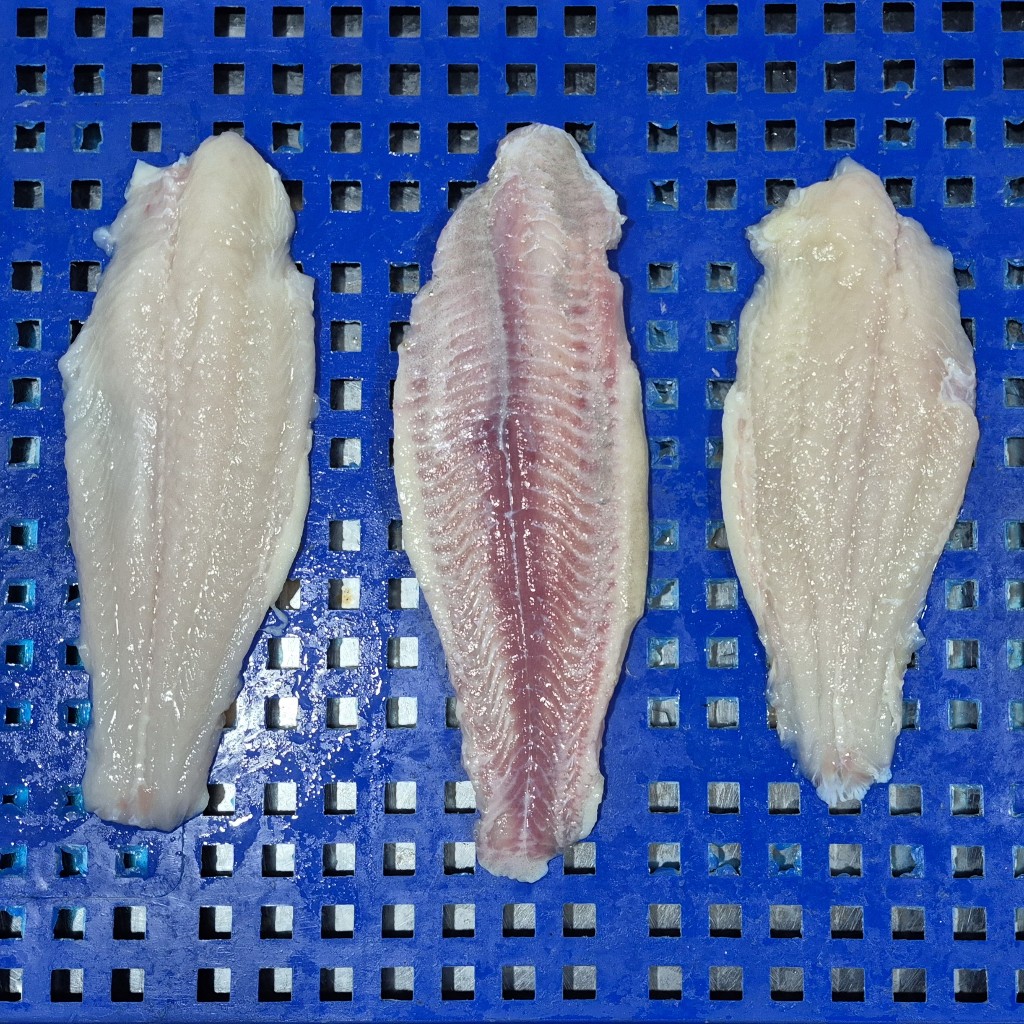 Jual Fillet Dori / Dory Fillet Premium NBL 1KG | Shopee Indonesia