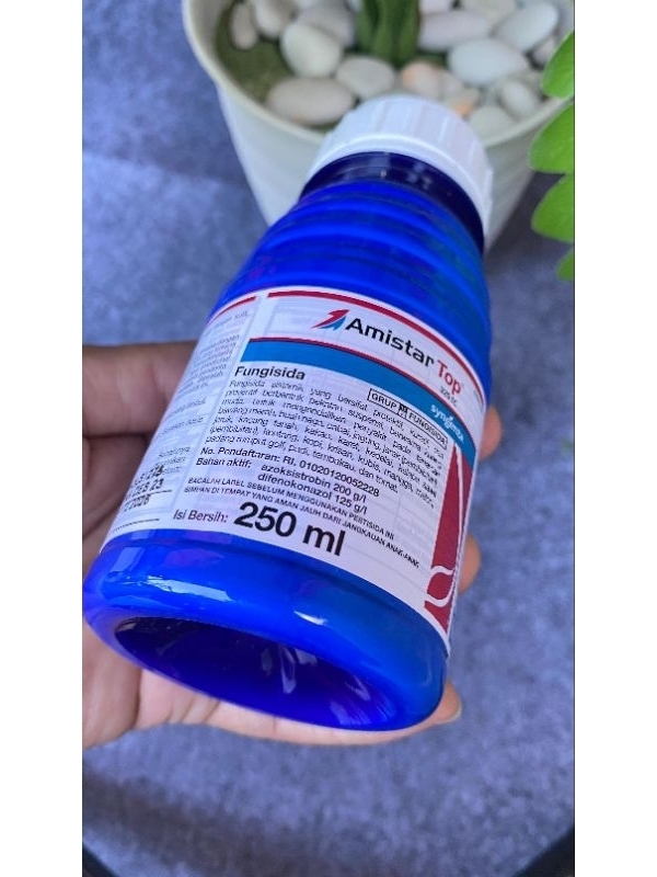 Jual AMISTAR TOP 250ml ASLI Pencegah penyakit tanaman | Shopee Indonesia