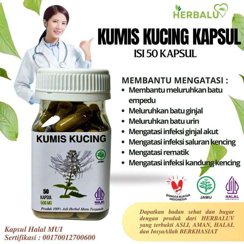 Tampilan Fisik Daun
