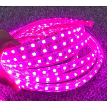 Lampu Selang Led Strip Smd 5050 220V Paket 1 10 Meter Free Soket 1Pcs (Sudah Pasang Soket) Ac