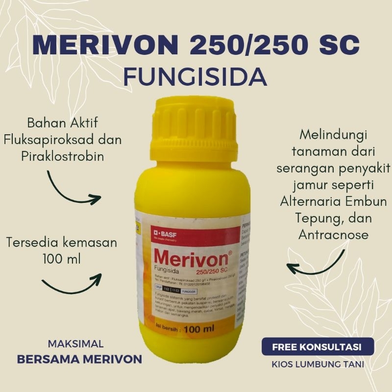 Jual MERIVON 250/250 SC 100 ml Fungisida Alternariae Embun Tepung ...