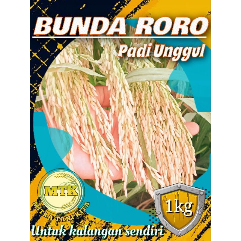 Jual BENIH PADI BUNDA RORO KEMASAN 1KG | Shopee Indonesia
