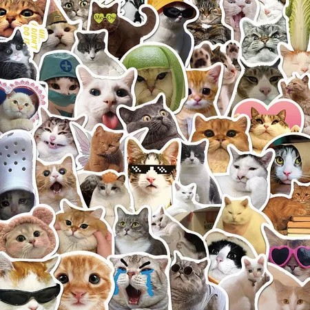 Stiker Kucing Lucu