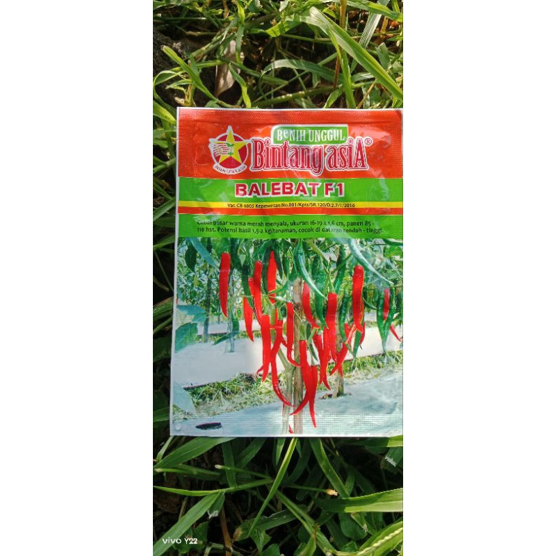Jual Benih Cabai Cabe Merah Besar Balebat F1 Cap Bintang Asia Kemasan ...