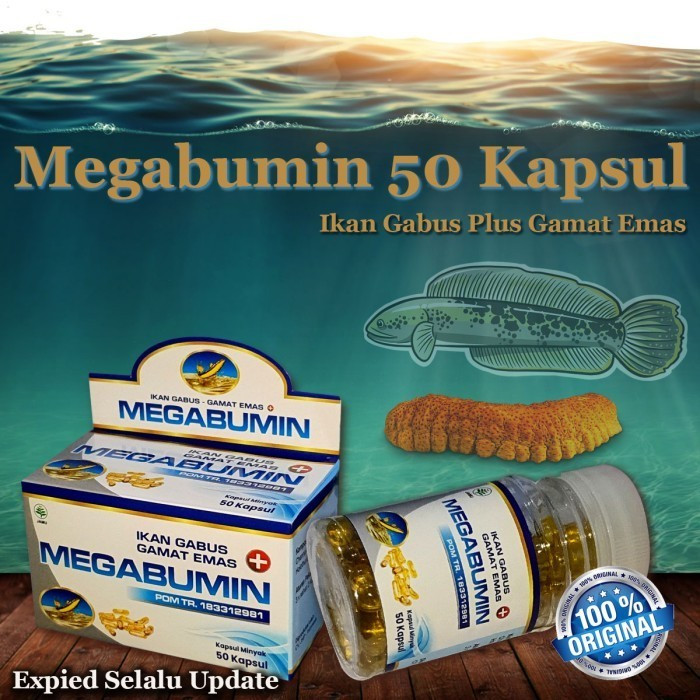 Jual Kapsul MEGABUMIN Ekstrak Ikan Kuthuk Minyak Ikan Kutuk Ekstrak ...