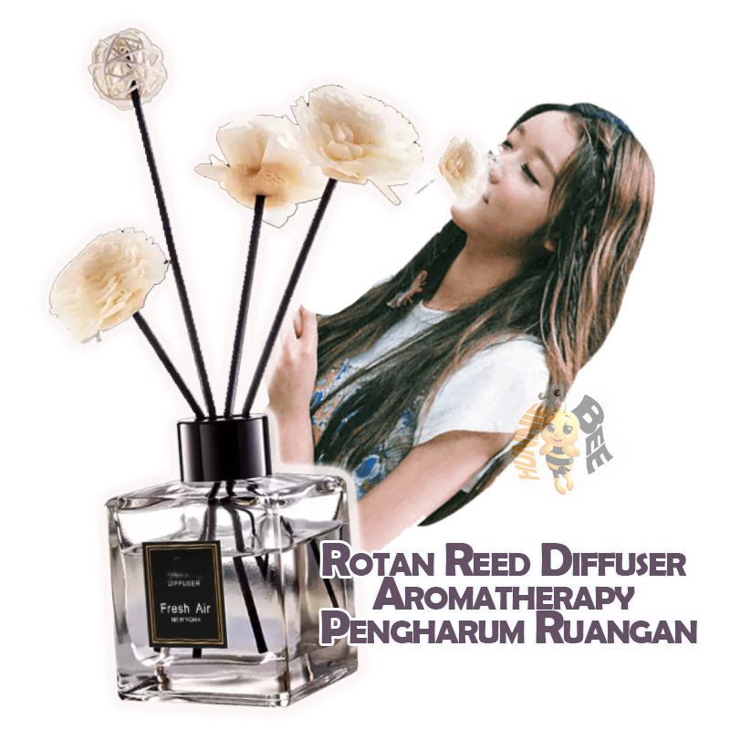 Jual Rotan Reed Diffuser Aromatherapy Pengharum Ruangan | Shopee Indonesia
