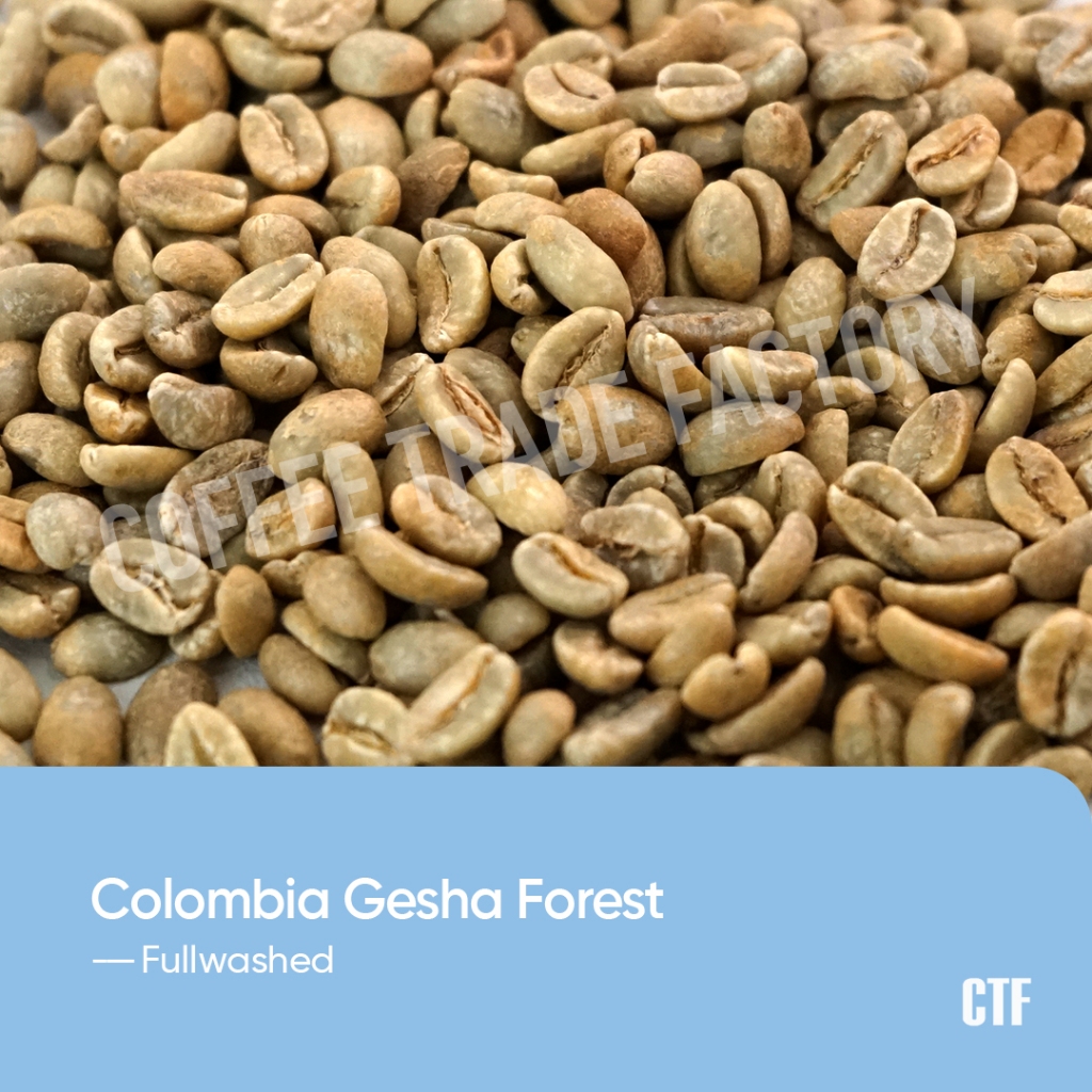 Jual Green Beans Arabika Colombia Gesha Forest Fullwashed Dryhull ...