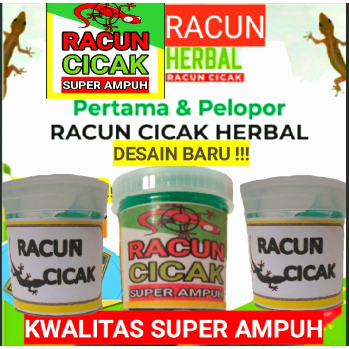 Jual BEST SELLER !!!! RACUN CICAK OLES / RACUN TOKEK OLES SUPER HARGA ...