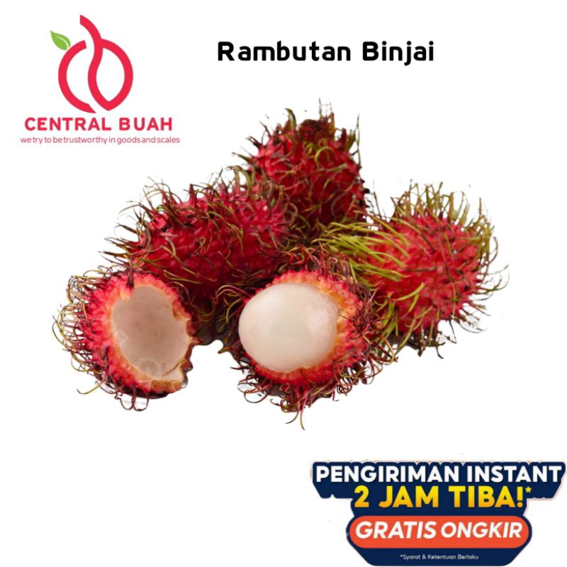 Jual CENTRAL BUAH - RAMBUTAN BINJAI 1 KG MANIS FRESH & NGELOTOK ...